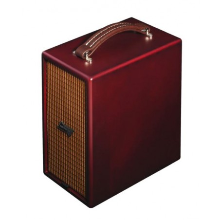 Phil Jones CUB AG-100 BROWN Airpulse combo akust.